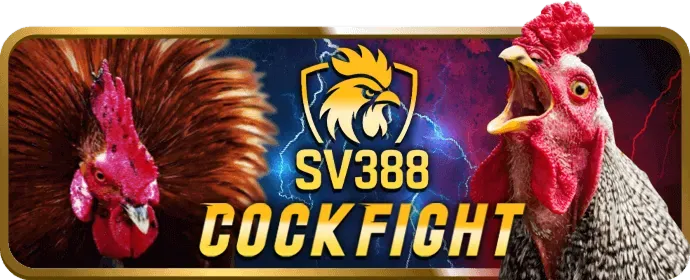 Quà tặng và sự kiện độc quyền dwin68 casino