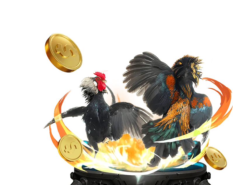 Các loại hình cá cược đá gà tại dwin68 casino